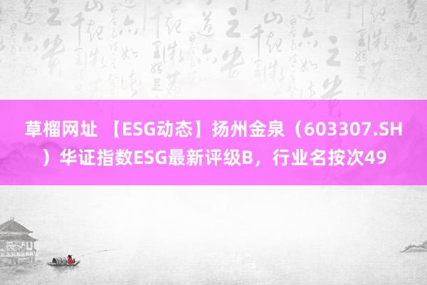 草榴网址 【ESG动态】扬州金泉（603307.SH）华证指数ESG最新评级B，行业名按次49