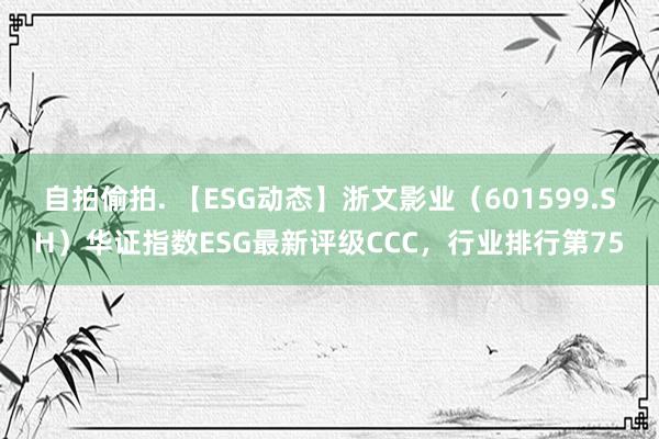 自拍偷拍. 【ESG动态】浙文影业（601599.SH）华证指数ESG最新评级CCC，行业排行第75