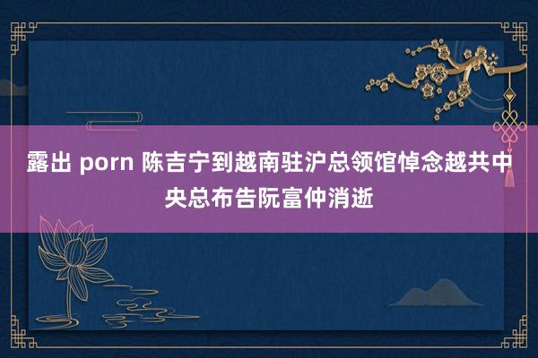 露出 porn 陈吉宁到越南驻沪总领馆悼念越共中央总布告阮富仲消逝