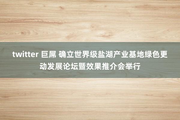 twitter 巨屌 确立世界级盐湖产业基地绿色更动发展论坛暨效果推介会举行