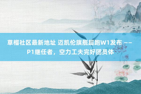 草榴社区最新地址 迈凯伦旗舰超跑W1发布 —— P1继任者，空力工夫完好团员体