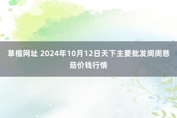 草榴网址 2024年10月12日天下主要批发阛阓慈菇价钱行情