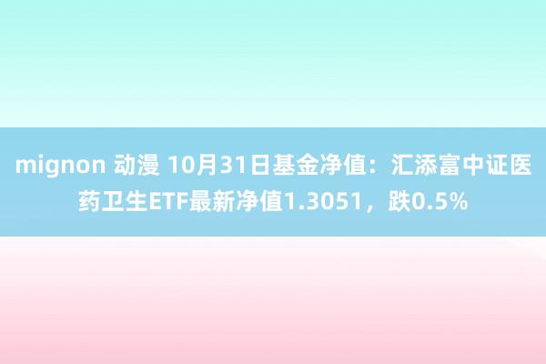 mignon 动漫 10月31日基金净值：汇添富中证医药卫生ETF最新净值1.3051，跌0.5%