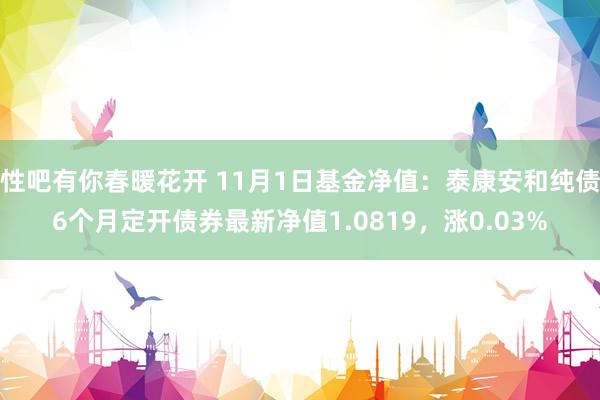 性吧有你春暖花开 11月1日基金净值：泰康安和纯债6个月定开债券最新净值1.0819，涨0.03%