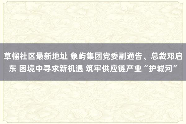 草榴社区最新地址 象屿集团党委副通告、总裁邓启东 困境中寻求新机遇 筑牢供应链产业“护城河”