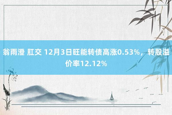 翁雨澄 肛交 12月3日旺能转债高涨0.53%，转股溢价率12.12%