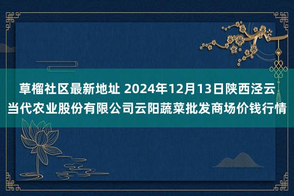 草榴社区最新地址 2024年12月13日陕西泾云当代农业股份有限公司云阳蔬菜批发商场价钱行情