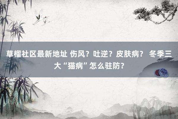 草榴社区最新地址 伤风？吐逆？皮肤病？ 冬季三大“猫病”怎么驻防？