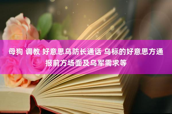 母狗 调教 好意思乌防长通话 乌标的好意思方通报前方场面及乌军需求等