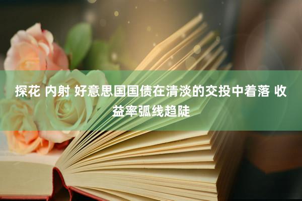 探花 内射 好意思国国债在清淡的交投中着落 收益率弧线趋陡