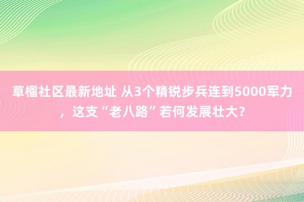 草榴社区最新地址 从3个精锐步兵连到5000军力，这支“老八路”若何发展壮大？