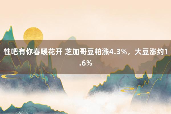 性吧有你春暖花开 芝加哥豆粕涨4.3%，大豆涨约1.6%