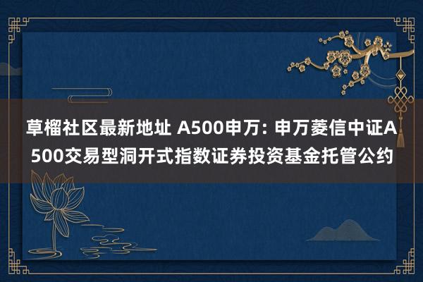 草榴社区最新地址 A500申万: 申万菱信中证A500交易型洞开式指数证券投资基金托管公约