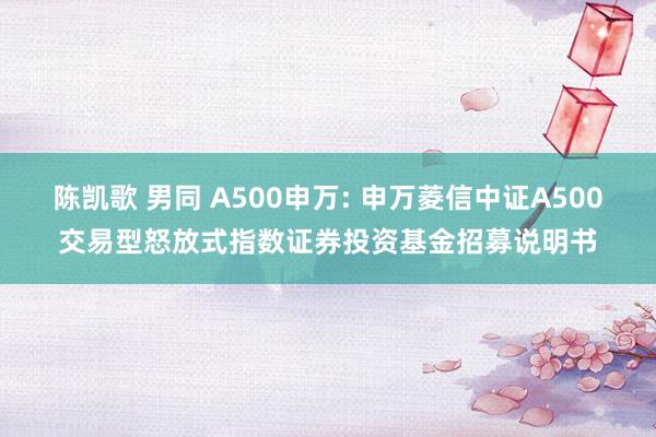 陈凯歌 男同 A500申万: 申万菱信中证A500交易型怒放式指数证券投资基金招募说明书