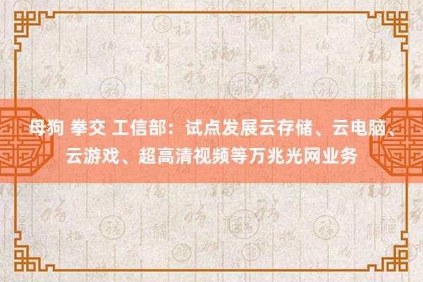 母狗 拳交 工信部：试点发展云存储、云电脑、云游戏、超高清视频等万兆光网业务