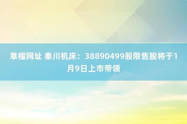 草榴网址 秦川机床：38890499股限售股将于1月9日上市带领