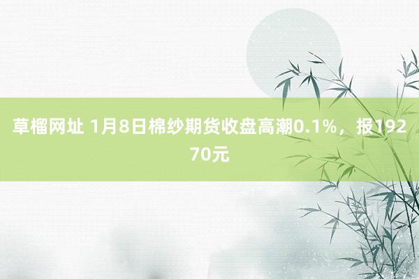 草榴网址 1月8日棉纱期货收盘高潮0.1%，报19270元