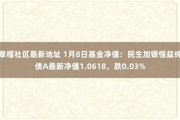 草榴社区最新地址 1月8日基金净值：民生加银恒益纯债A最新净值1.0618，跌0.03%