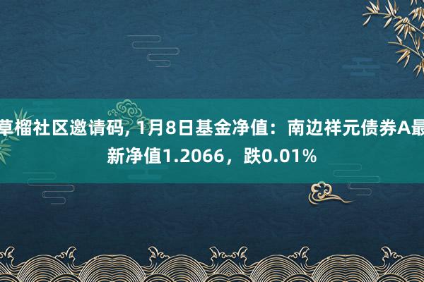 草榴社区邀请码， 1月8日基金净值：南边祥元债券A最新净值1.2066，跌0.01%