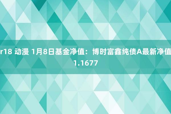 r18 动漫 1月8日基金净值：博时富鑫纯债A最新净值1.1677