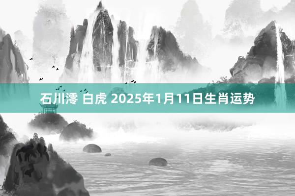 石川澪 白虎 2025年1月11日生肖运势