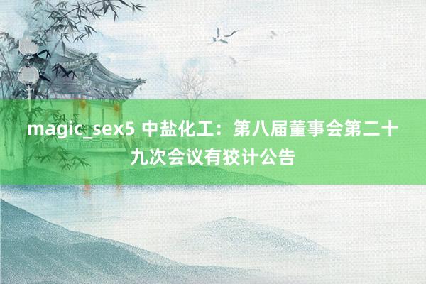 magic_sex5 中盐化工：第八届董事会第二十九次会议有狡计公告