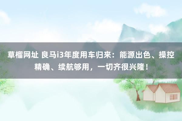 草榴网址 良马i3年度用车归来：能源出色、操控精确、续航够用，一切齐很兴隆！