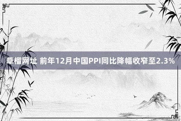 草榴网址 前年12月中国PPI同比降幅收窄至2.3%