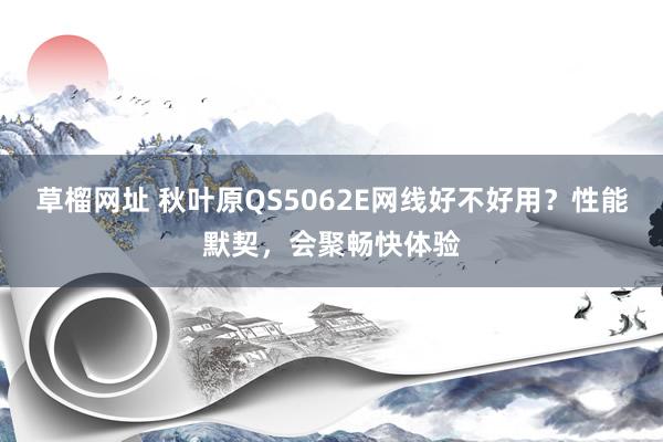 草榴网址 秋叶原QS5062E网线好不好用？性能默契，会聚畅快体验