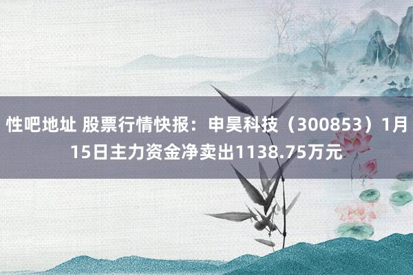 性吧地址 股票行情快报：申昊科技（300853）1月15日主力资金净卖出1138.75万元